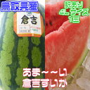 【鳥取県産】倉吉すいか　スイカ　西瓜　2Lサイズ　1玉7kg以上【秀品】お中元　ギフト　贈答　ラッピング　のし可【同梱不可】【クール便推奨商品】【常温便送料無料... ランキングお取り寄せ