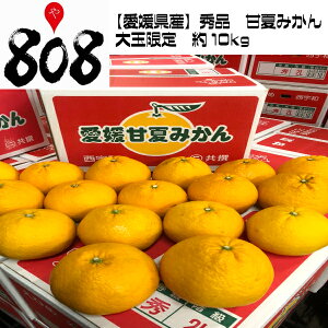 夏みかんの人気商品 通販 価格比較 価格 Com