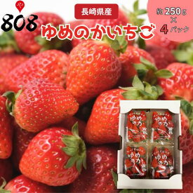 【送料無料】【長崎県産】ゆめのかいちご　大きさお任せ　250g×4パック(北海道沖縄別途送料加算)
