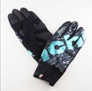 Bianchi (rAL) CgEC^[O[u