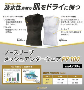 Lion de KAPELMUUR (I h Jy~[jm[X[u@bVA_[EGA@PP100 2023