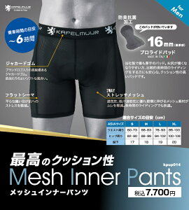 Lion de KAPELMUUR (I h Jy~[jbVCi[pc vChpbh 2023