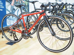 FUJI(�t�W) ROADBIKE(�t�W���[�h�o�C�N) NAOMI(�i�I�~) SORA������ 2025