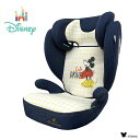 Disney Child / Junior Seat