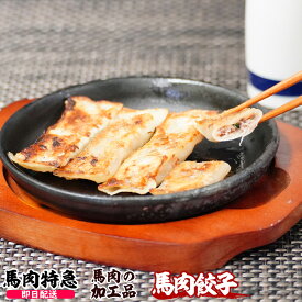 【あす楽対応】馬肉特急 新鮮馬肉 馬肉餃子 450g(15g×30個)