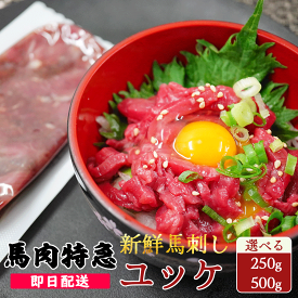 送料無料 新鮮馬刺し ユッケ 選べる300g～500g 50g個食包装 （ユッケのタレ付き）あす楽 赤身 馬刺し 小分け プレゼント 馬肉 ブロック 馬刺し プレゼント 父の日 肉 グルメ 母の日 お歳暮 肉 お取り寄せ グルメ ギフト