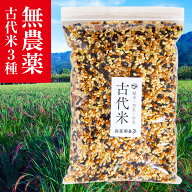 無農薬 古代米ブレンド(黒米・赤米・緑米) 無化学肥料 福岡県久留米産 【田中大輔 栽培米】 (500g)