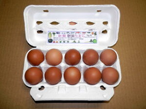 �V�N�Ȗ�؂�H�ׂ��j���g�������񂾗��y��؂��܂��z�y�N�[���֎g�p�z ���R�ȐF�����ł��y�����̗���������S�����Ă��܂��z