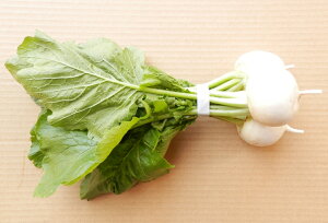 ~lLxȐԓyňwԁx2`3yN[ցz