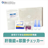 【スピード検査】肝機能+尿酸チェッカー 尿酸値検査キット 健康診断 生活習慣病検査 男女共用 検査キット…