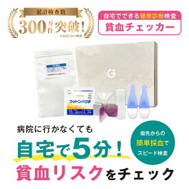 貧血チェッカー 健康診断 生活習慣病検査 男女共用 検査キット 血清鉄検査 貧血検査 血液検査 送料無料 あす楽対応 365日営業