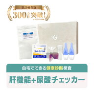肝機能+尿酸チェッカー 尿酸値検査キット 健康診断 生活習慣病検査 男女共用 検査キット 肝機能検査 尿酸…