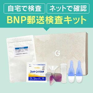 łł NT-proBNP jp S̃XgX`FbN BNP t S ]ǎ XN`FbN Lbg  yΉ 365c