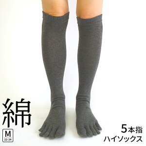 y600~N[|z5{wnC\bNXsȁt fB[X Y ₦C 5{w\bNXfB[X ₦Ƃ 5{w\bNX C nC\bNX H~ ~  g d˗   u