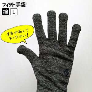   tBbg fB[X Y  Ɨp ʋ AEghA h r 芾  Ci[ ₷ݎ ێ AQ q H~ ~ { M L R  񒷂  841[I:9/40]