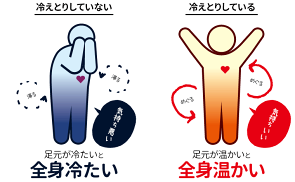 【2枚】【冷えとり健康法】冷えとり靴下セット