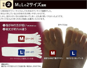 はじめてみよう!頭寒足熱冷えとりセット(冷え取り靴下4足&内絹外綿レギンス&ハンドブック)841あったか【送料無料】【あす楽】