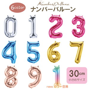   D io[o[ X[ 30cm a j t o[XfC p[eB[ tBD tHgvbv   a j @o[ At@xbg