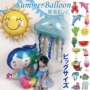 o[ D rbO T}[ C  v[g Mtg t a  q  p[eB[ fR[V lC htB T{e XCJ z }[Ch hN JN