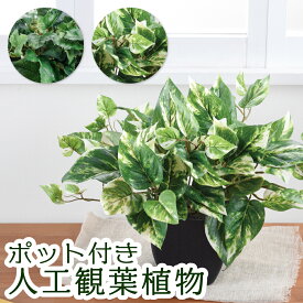 観葉植物 フェイク 卓上 造花 インテリア 人工観葉植物 フェイク ミニ ポトス グレープリーフ グレープリーフ ブッシュ アーティフィシャルフラワー 鉢 ポット 付き リビング オフィス 枯れない 衛生的 小型 お祝い 癒し 新築 引っ越し 新生活 プレゼント ギフト おしゃれ