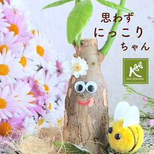 観葉植物 プレゼント 男性の人気商品 通販 価格比較 価格 Com 観葉植物 プレゼント 男性の人気商品 通販 価格比較 価格 Com
