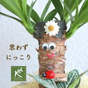 幸せ願う お中元 癒しの笑顔シリーズ 幸せのユッカさん 敬老の日 運気が上がる おもしろ観葉植物 お誕生日 笑顔を贈る かわいい 大人気 育てやすい スマイル てんとう虫 他にはない めずらしい 変わった インテリアグリーン 室内用 歓送迎 仕事運 金運up