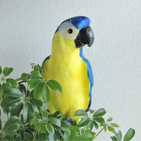 楽天市場 鳥 オウムインテリアの通販