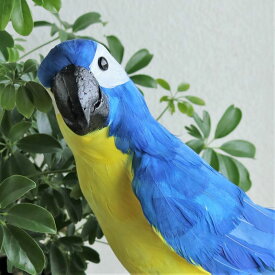 《本物みたい》幸せの青い鳥 オウム ブルーバード 黄色 イエロービッグ フェイク インテリア とり 鳥 トリ bird 鳥好き コレクション 鳥の置物 パロット 鳥のいる暮らし 癒し ナチュラル 森 自然 風景 ディスプレイ ガーデン 愛鳥家 お世話いらず 衛生的 個性的