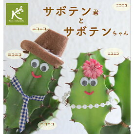 《スマイル プレゼント》 癒しの笑顔シリーズ さぼてん君とサボテンちゃん 個性 かわいいサボテン テーブルサイズ 育てやすい 多肉植物 ユーフォルビア ダイウンカク 大雲閣 枯れにくい 観葉植物 おしゃれ めずらしい 変わった 御祝 ビックリ 楽しい 嬉しい 感謝 京都