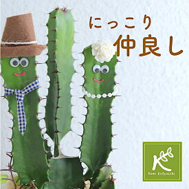 《最強仲良し ギフト》ご縁をつなぐ 楽しい 癒しの笑顔シリーズ 仲良しサボテンズ Sサイズ wedding 記念日 おしゃれ 観葉植物 めずらしい かわいいサボテン カクタス 夫婦円満 パートナー 笑顔 育てやすい 多肉植物 ダイウンカク ユーフォルビア 花 おもしろプレゼント