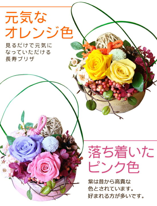 楽天市場 お手入れ不要 長寿プリザ 枯れない花花屋 花 造花 誕生日 プレゼント お手入れ不要 縁起物 松ぼっくり 健康長寿 円満 幸せ プリザ 紫色 黄色古希 女性 男性 記念日 お祝い お見舞 他にはないデザイン 和モダン 花かたにし