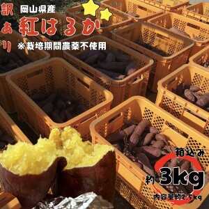 yz͔|Ԕ_sgp@VNyt@܂ g͂邩 2025Nn@V ߘa7NY RY@y3kgzTc}C ˂ƂÂ F  C  XC[c H̖o