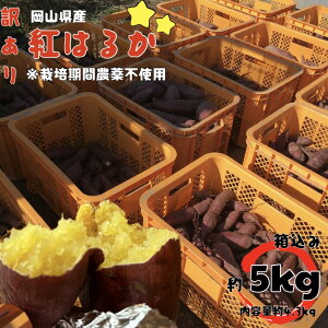 yz͔|Ԕ_sgp@VNyt@܂ g͂邩 2025Nn@V ߘa7NY RY@y5kgzTc}C ˂ƂÂ F  C  XC[c H̖o