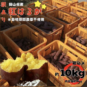 yz͔|Ԕ_sgp@VNyt@܂ g͂邩 2025Nn@V ߘa7NY RY@y10kgzTc}C ˂ƂÂ F   C  XC[c H̖