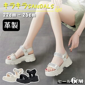 X|[cT_  fB[X {v T_ T_ ꂢ ؂₩ y RtH[ r[`T_ I[vgD XgbvT_ C C xN X|[c X|T 