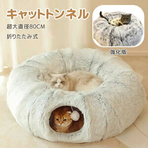 L gl L xbh h[ LbgnEX LnEX t ӂӂ ~p g 킢  Lbggl h[^ ϖ I[V[Y ʔN h[ic^ 􂦂 