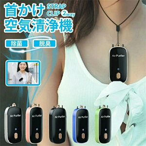 小型 携帯用 空気清浄機 首かけ マイナスイオン ネックレス イオン発生器 usb充電式 除菌 脱臭 消臭 静音
