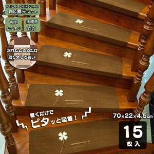 Ki}bg 15g ~ 唻 70×22×4.5cm 15 3mm Ki 38 }bg  ~ }bg ČJԂg Ki}bg F15Zbg L Vv O[ uE 