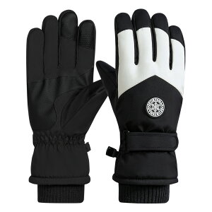 XL[ O[u fB[X Y Xm[{[h O[u XL[ Xm{ O[u 5{w ~p oCNO[u h h h X}zΉ N ~ l q Z ]