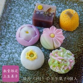9/21敬老の日にも 9月の上生菓子6個入 送料無料 誕生日 プレゼント 贈り物 ギフト かわいい 和菓子 練り切り 本格 両親 70代 80代 90代
