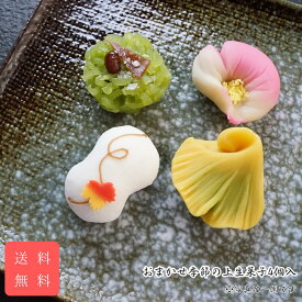 9/21敬老の日にも おまかせ季節の上生菓子4個入 送料無料 誕生日 プレゼント 上生菓子 本格 練り切り スイーツ 和菓子 ギフト お取り寄せ 贈り物 かわいい 贈答 ホームパーティー 手土産 バレンタイン ホワイトデー 父の日 母の日 お中元 お歳暮 クリスマス クーポン