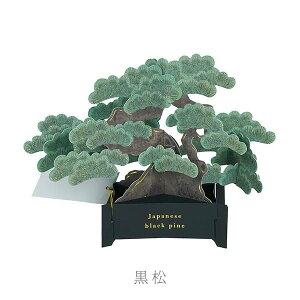 BONSAI |bvAbvJ[h [S2] O[eBOCt 600-KE-** ylR|Xz[M 1/4] ~  O[eBOJ[h