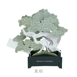 BONSAI |bvAbvJ[h [S2] O[eBOCt 600-KE-** ylR|Xz[M 1/4] ~  O[eBOJ[h