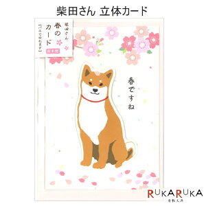 ���̃J�[�h �ēc���� �A�N�e�B�u�R�[�|���[�V���� 392-GT-225H �y�l�R�|�X�z���� ��� �O���[�e�B���O�J�[�h