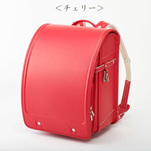 *݌ɌI*2025N ysJb/tBbgzX胂f x[VbN tBbg hZ N[mGt j̎q ̎q S6F }`12.0cm IWi  Vv 