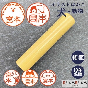 CXg͂(E) F s  [ѐA/12E13.5E15mm] J^Ji p [} N_0