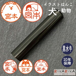 CXg͂(E) F s  [/12E13.5E15mm] J^Ji p [} N_0