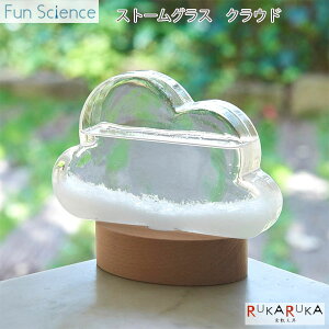 sFun SciencetXg[OX NEh (I[oX^h)JY 1566-333400 *lR|Xs*t@TCGX _  Mtg CeA u