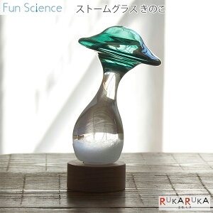 ݌Ɍ聖sFun SciencetXg[OX ̂mO[nJY 1566-333404GR *lR|Xs*t@TCGX   Mtg CeA u 65_C