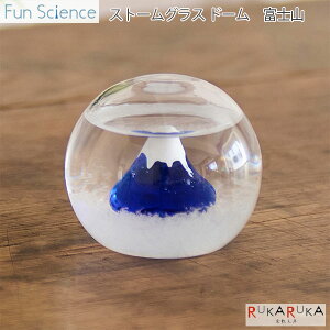 sFun SciencetXg[OX h[ xmRJY 1566-333414 *lR|Xs*t@TCGX N  Mtg CeA u